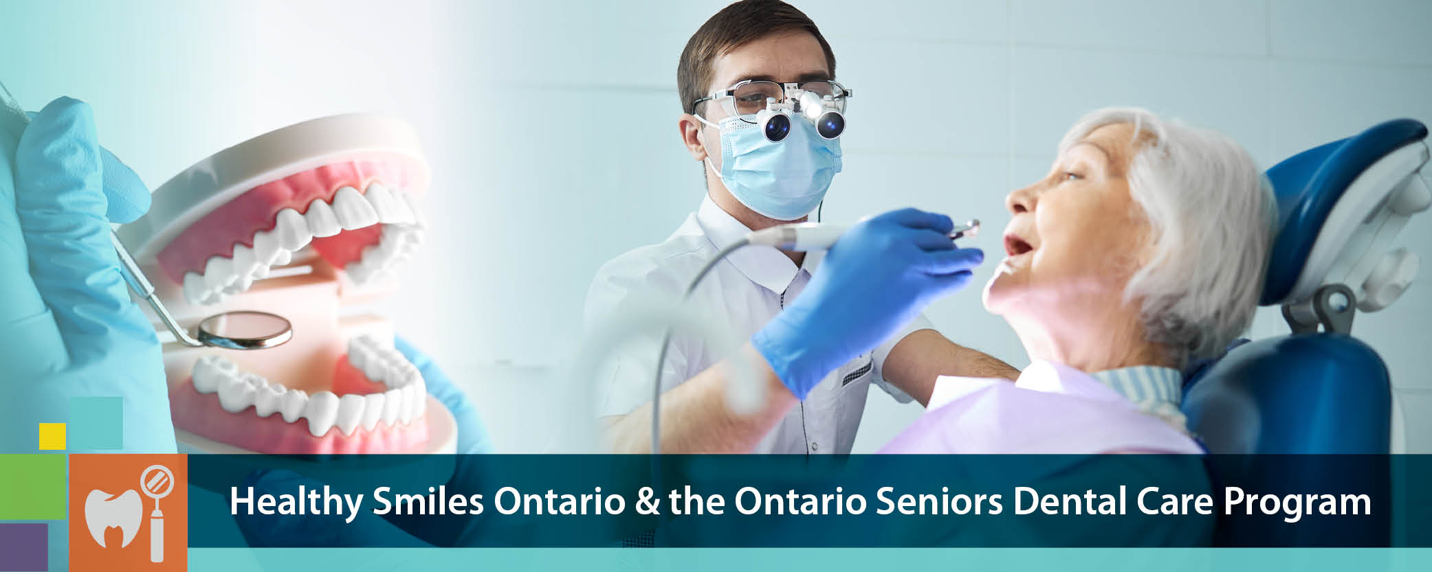 Annual report section banner - Healthy Smiles Ontario & the Ontario Seniors Dental Care Program