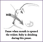 Pause when mouth is opened the widest. Baby is drinking during this pause.