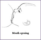 Mouth opening