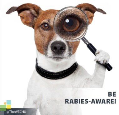 Be rabies aware - campaign banner