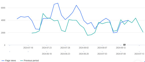 Website overview graph - July to August 2024