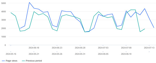 Website overview graph - June to July 2024