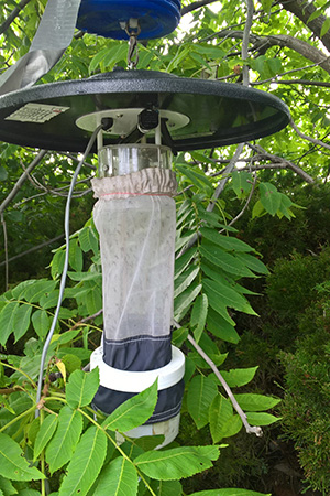 Photo of CDC Light mosquito trap - click to view full size image